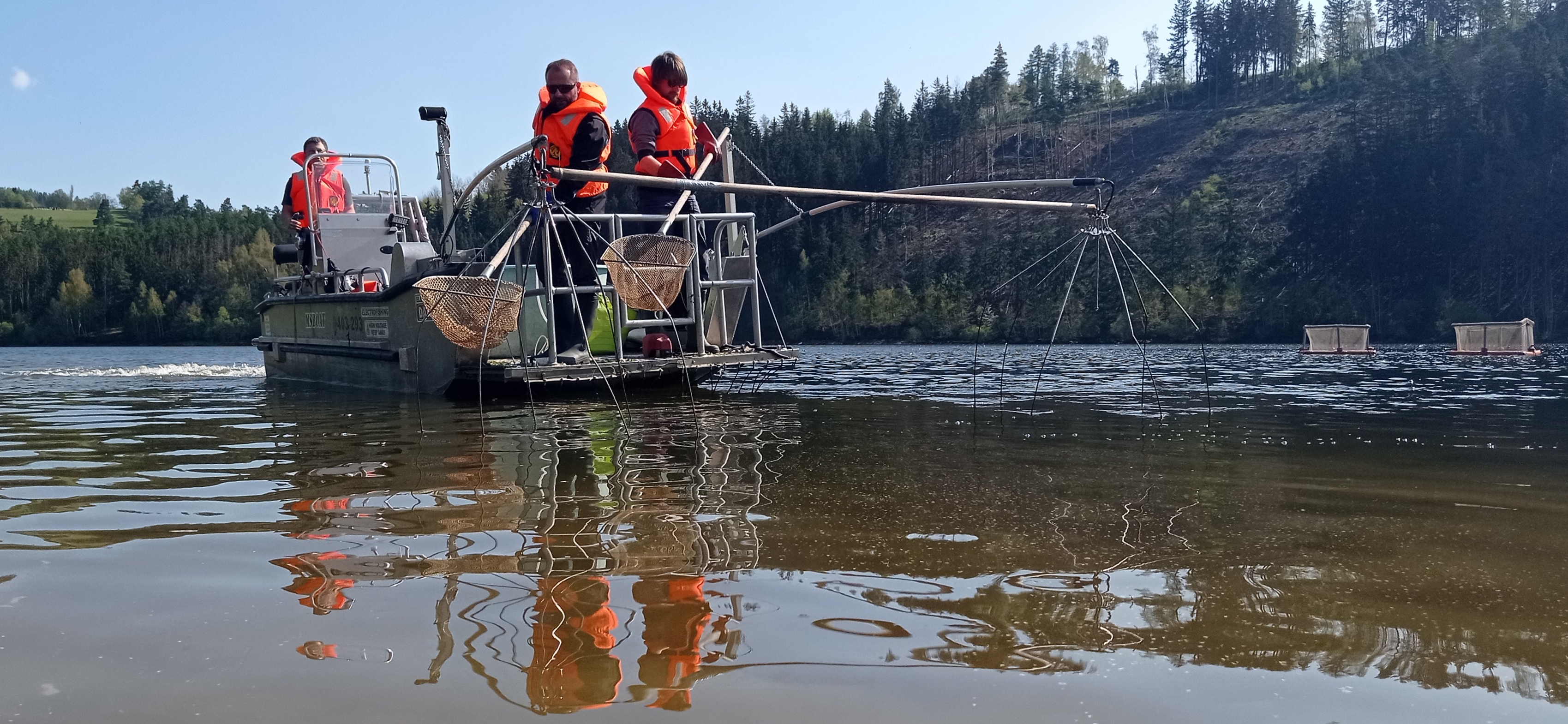 electrofishing2