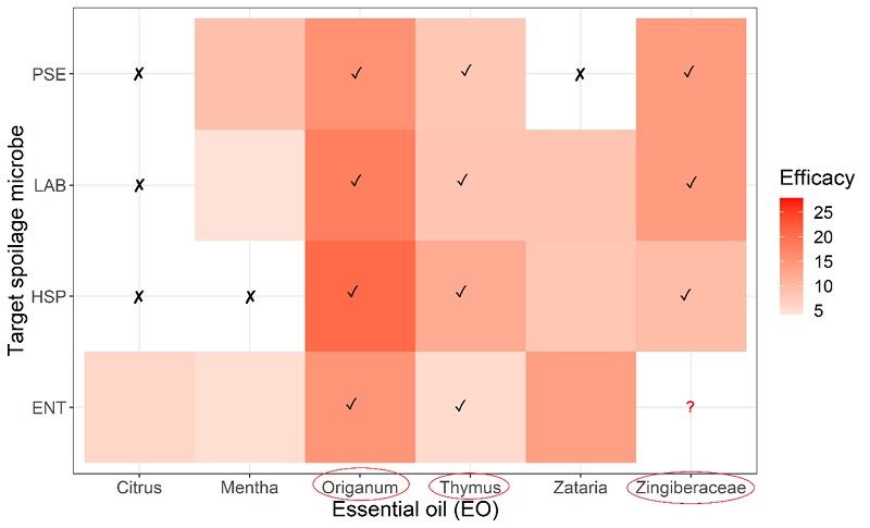 Tepelná mapa antimikrobiální účinnosti šesti nejlepších esenciálních olejů s mimořádným potenciálem redukce hlavních skupin mikroorganismů kažení
