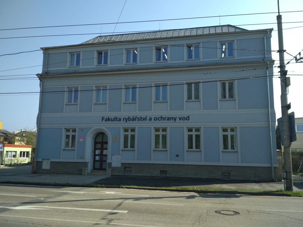 Budova Husova třída