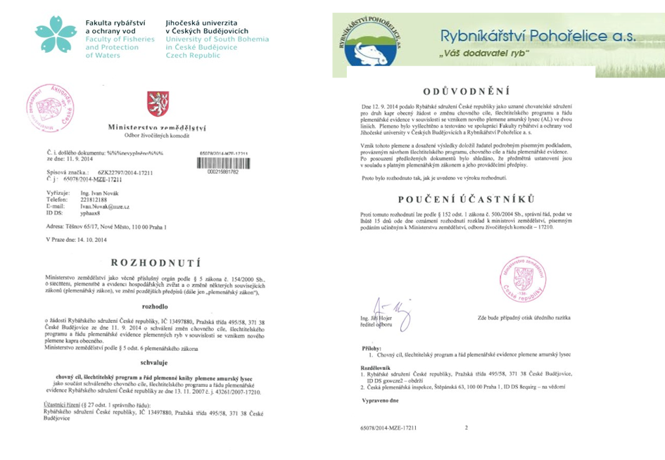 Rozhodnutí.png