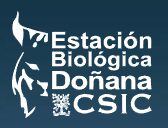 csic.png