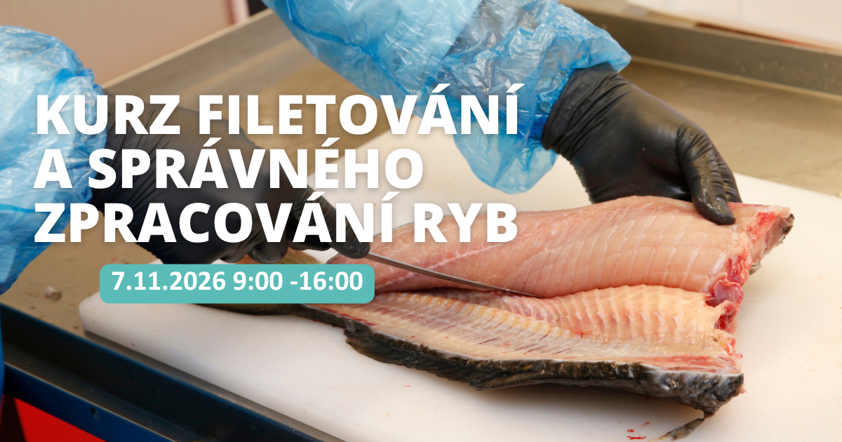 filetovani FB