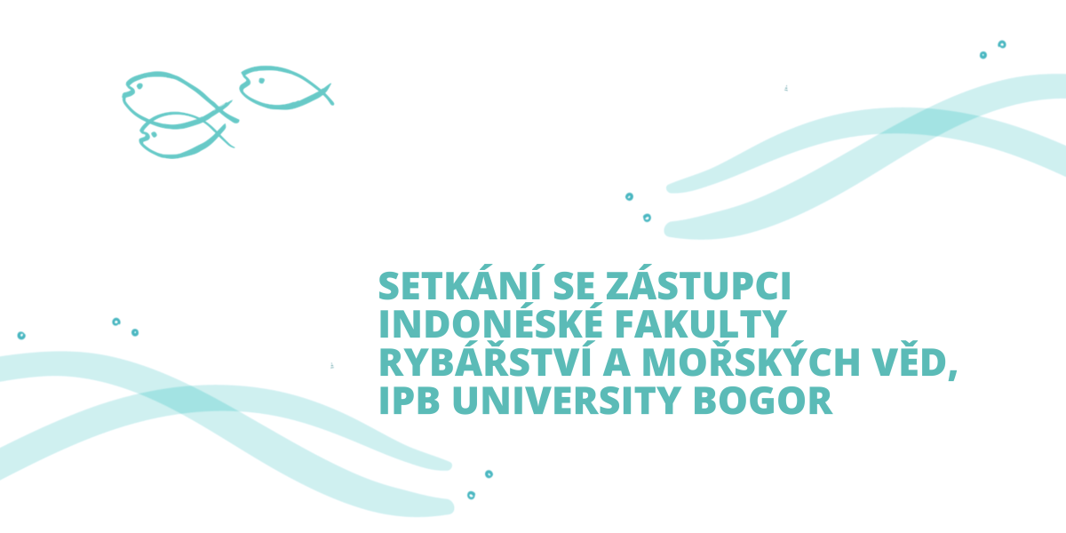 indonesie 1