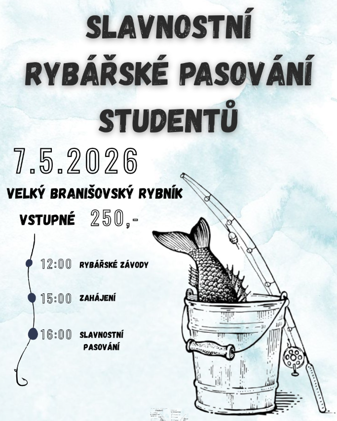 pasování.png